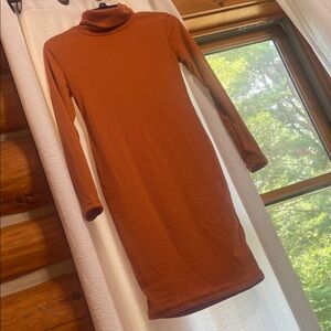 Autumn Long Sleeve Orange Copper Turtleneck Dress